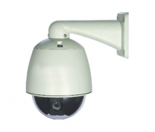Pan Tilt Zoom (PTZ)